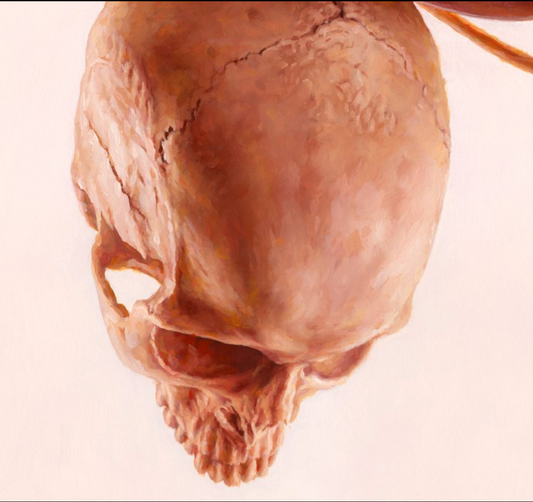 Rotator Print by Jeremy Geddes (2021)