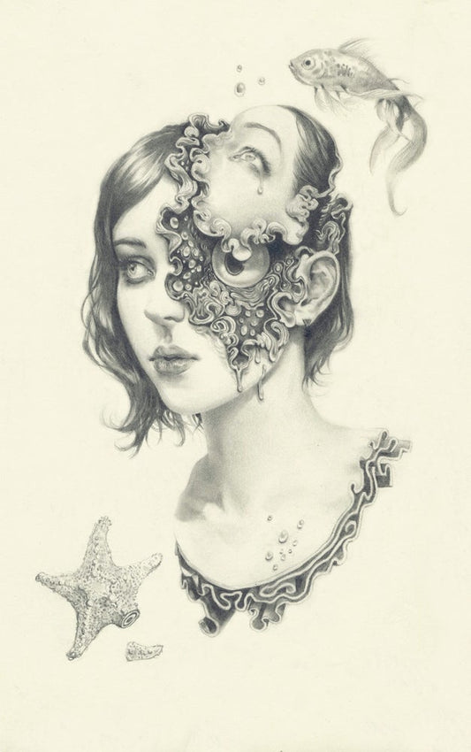 Evil Eye Star Fish Limited Edition Print By Miles Johnston